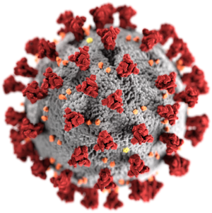 Mikroskopaufnahme Coronavirus
