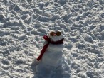 Schneemann mit Sonnenbrille und Schal