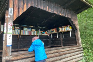 Eine Holzhütte mit vielen Büchern steht im Wald. Ein Mädchen guckt von außen hinein.