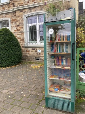 Ein grün gestrichener Kühlschrank für Getränke mit einer Glastür steht in einer Einfahrt an der Straße. In ihm stehen zahlreiche Bücher.