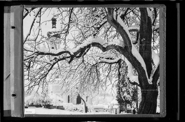 Ein schneebedeckter Baum steht vor einer verschneiten Kirche. Keywords: Schnee, Schneeflöckchen, Winter, Schneemann
