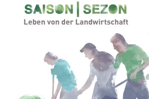DVD-Cover Saison|Sezon: Vier Arbeiter sind auf einem Feld beim Unkraut hacken zu sehen.