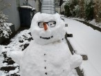 Neben einem niedrigen Mäuerchen ein Schneemann mit Brille und Blecheimer-Hut. Rechts im Bild ein schneebedeckter Weg, links im Hintergrund eine Hauswand und Abfalltonnen.  
