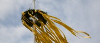 Ein Maibaum, welcher mit gelben Bändern einer geplanten Menschenkette geschmückt ist.