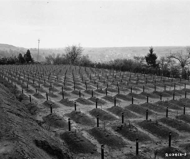 Eine große, rechteckige Fläche mit reihenweise frisch aufgeschütteten Gräbern, in denen nummerierte Latten stecken