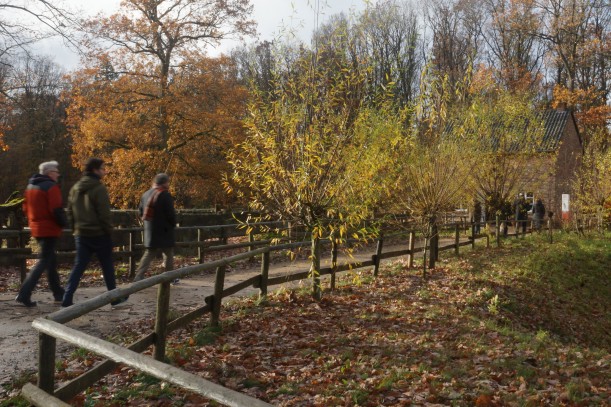 Menschen in Jacken, Mützen und Schals laufen durch eine herbstliche Landschaft einen gezäunten Weg entlang, an dem Weidenbäume gepflanzt sind.