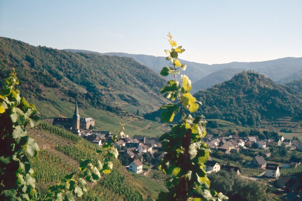 Das Bild zeigt einen Blick über das Ahrtal mit Weinbergen links im Bild. Im Zentrum ist die Ortschaft Mayschoß mit der Ortskirche zu sehen.