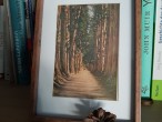 Gerahmte Postkarte mit Waldmotiv in einem Regal