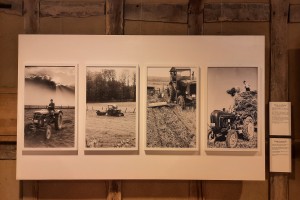 Die Schwarz-Weiß-Aufnahmen von Dr. Wolfgang Schiffer zeigen unterschiedlcihe Szenen landwirtschaftlicher Arbeit.