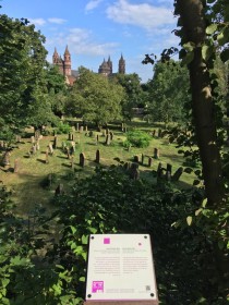 Blick vom jüdischen Friedhof zum Wormser Dom.