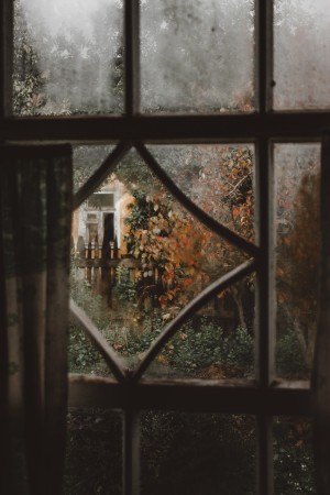Foto einer angereiften Fensterscheibe, die den Blick auf einen Garten freigibt.