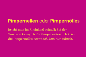 Postkarte mit Erklärung des Wortes "Pimpernellen/Pimpernölles"